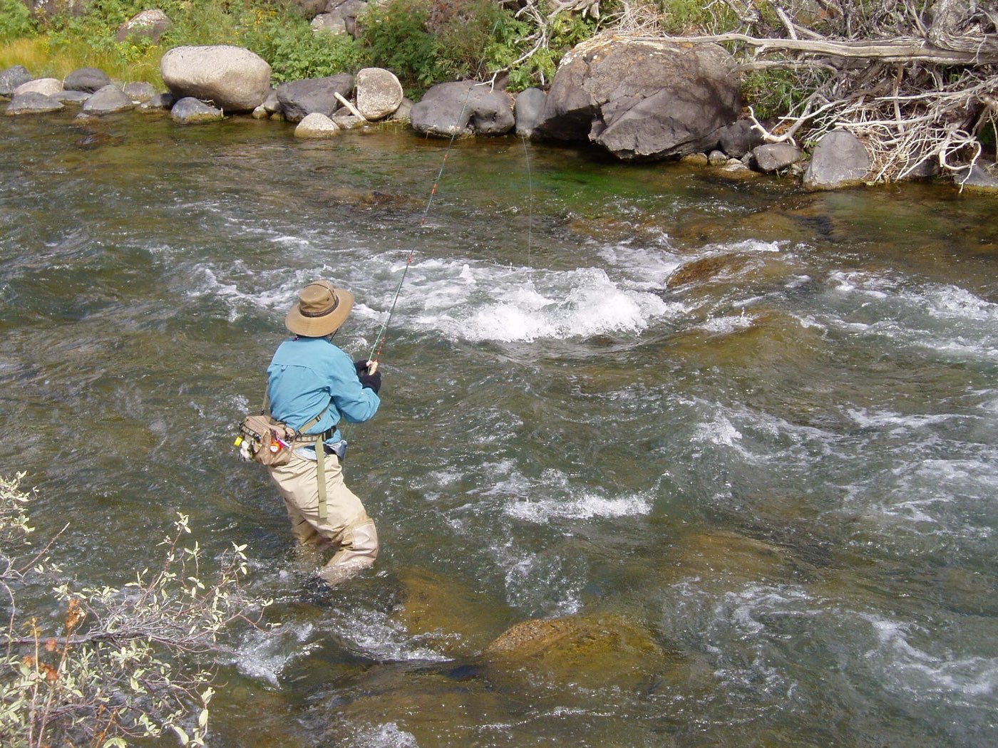 Euro Nymphing: a complete guide to the technique that beats indicator fishing