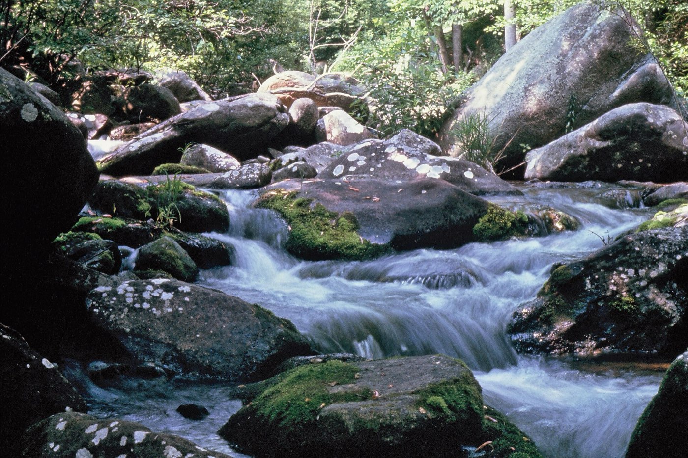 High-Stick Nymphing in Pocket Water