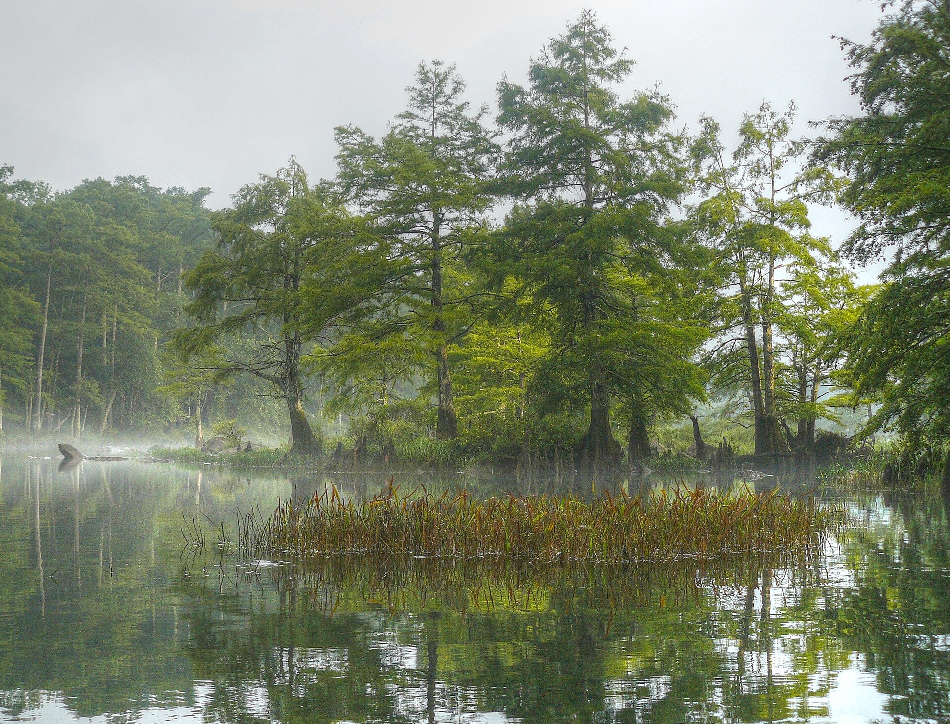 Lower Mountain Fork River