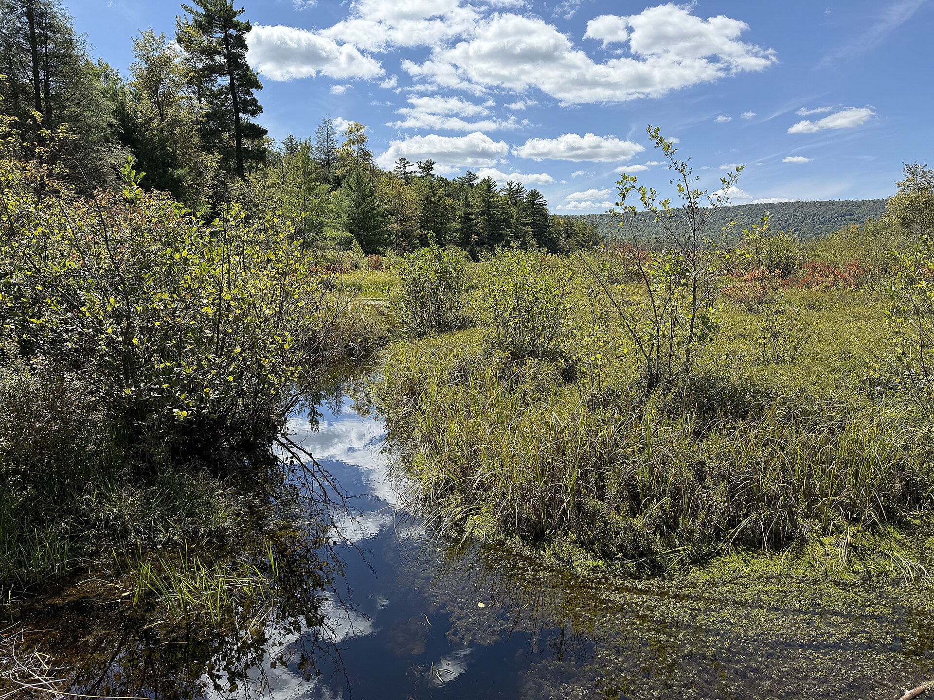 Penns Creek