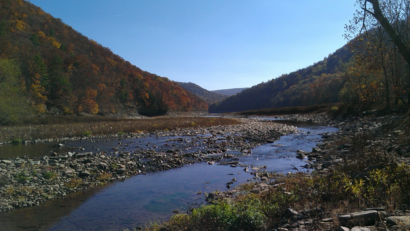 Savage River
