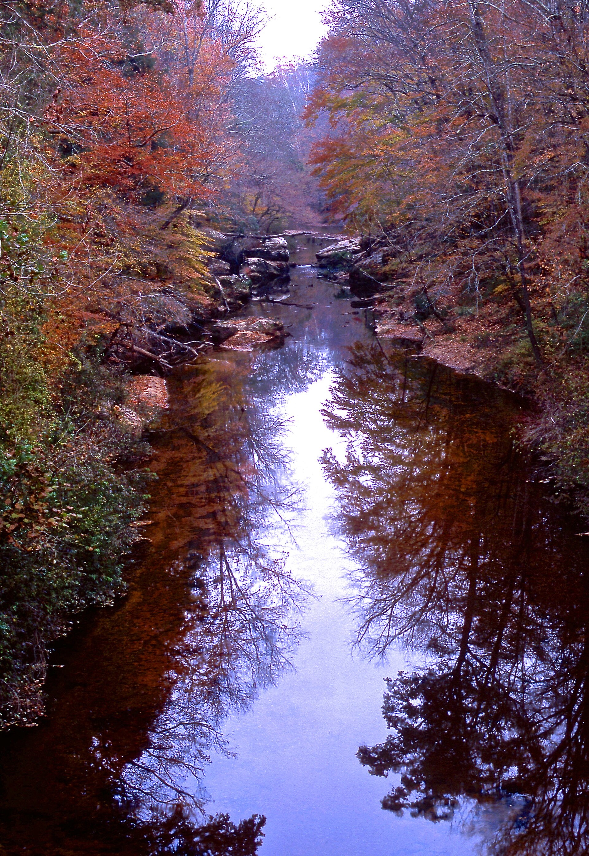 Sipsey Fork