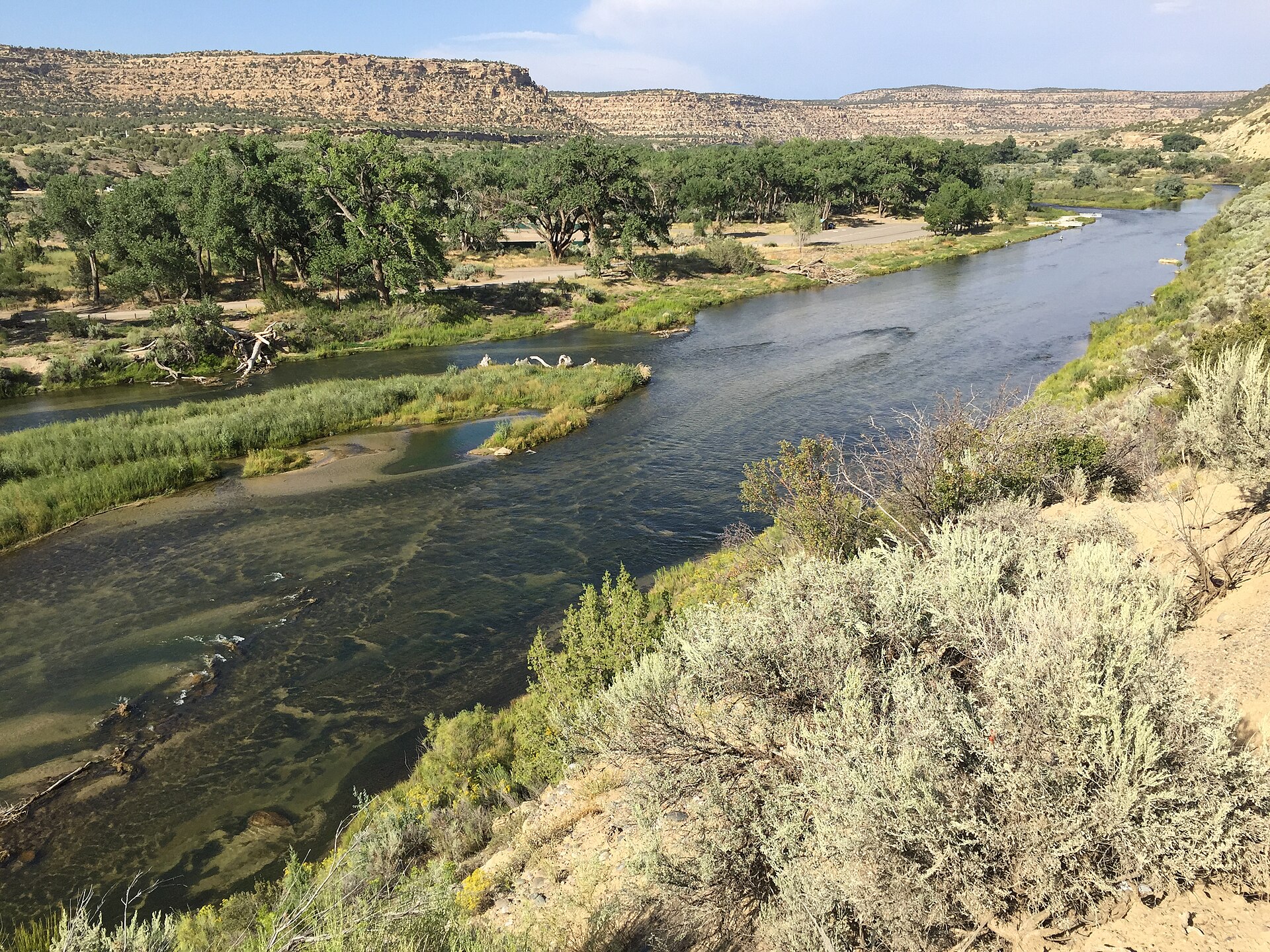 Fly fishing in New Mexico