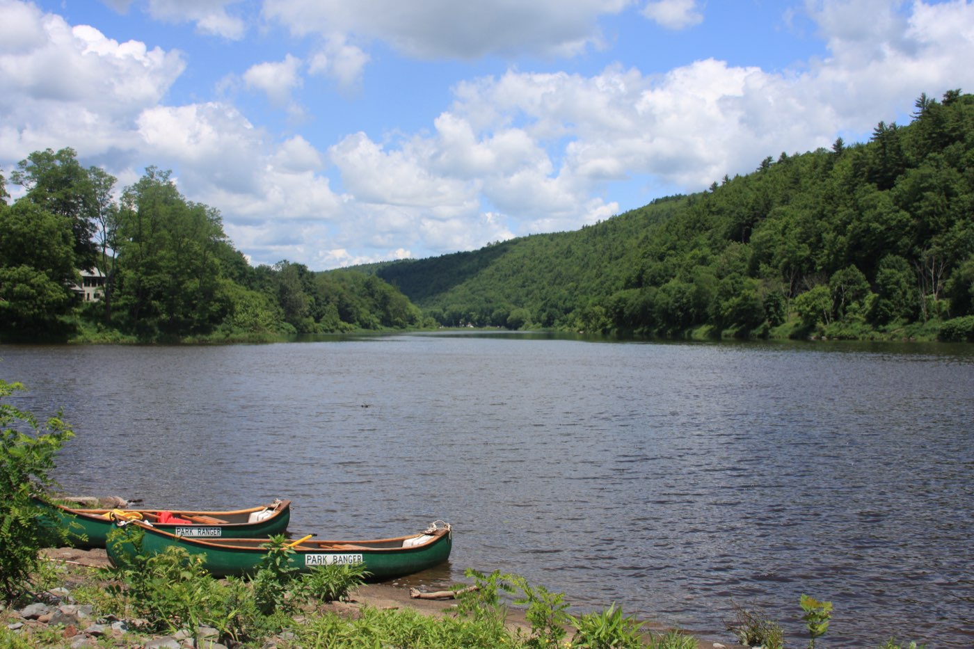 Fly fishing in New York