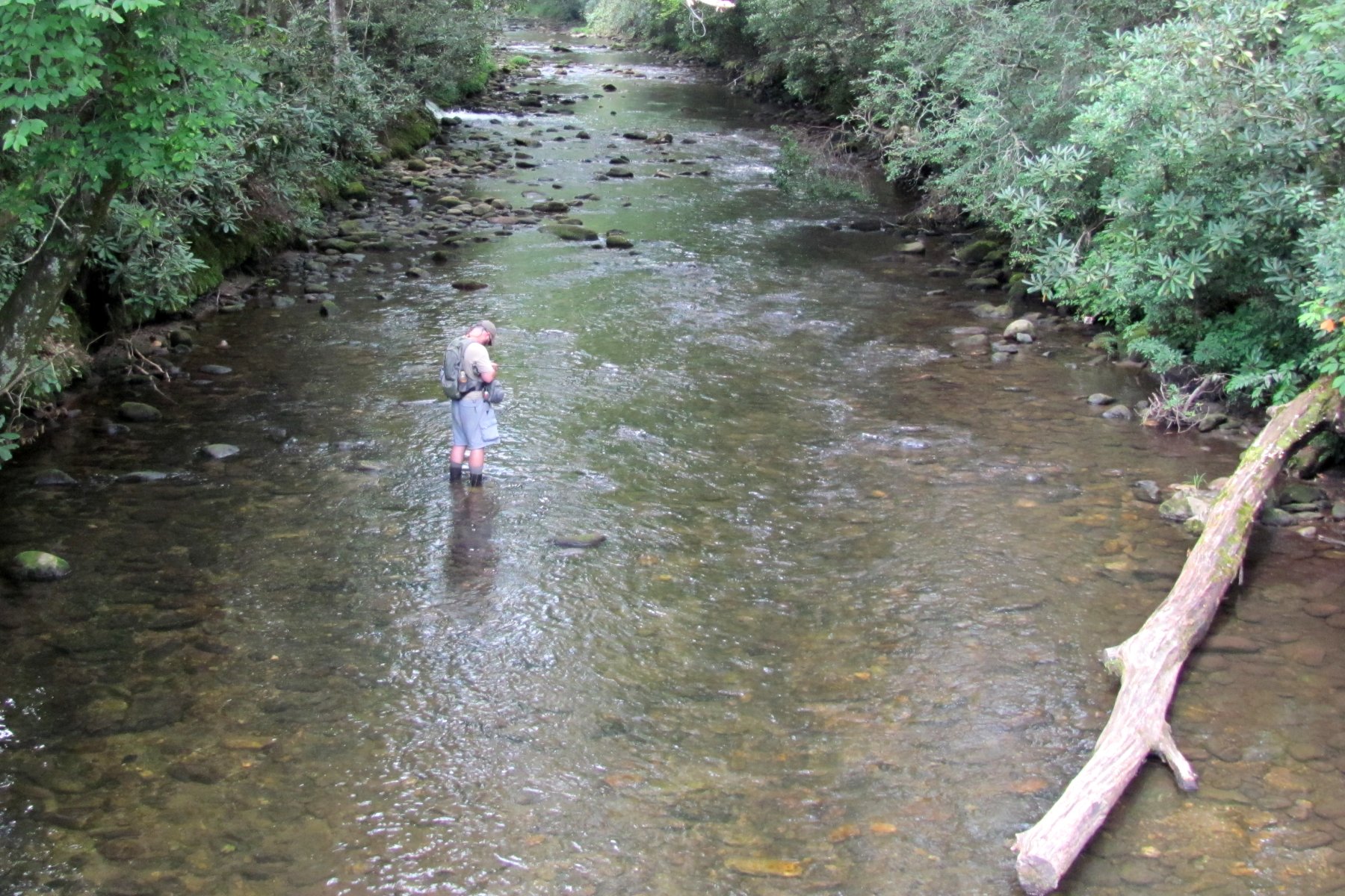 Fly fishing in North Carolina