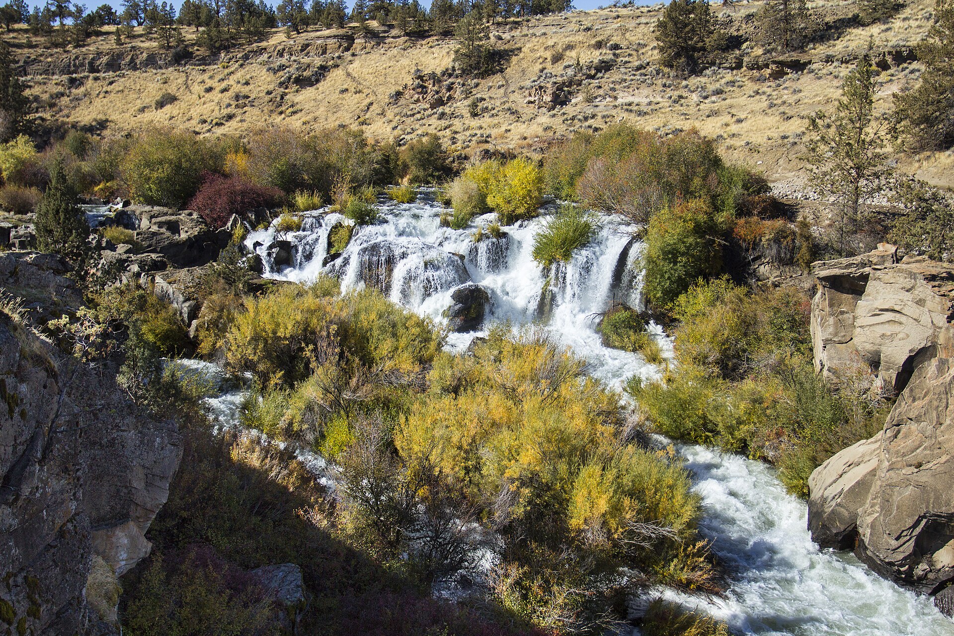Fly fishing in Oregon