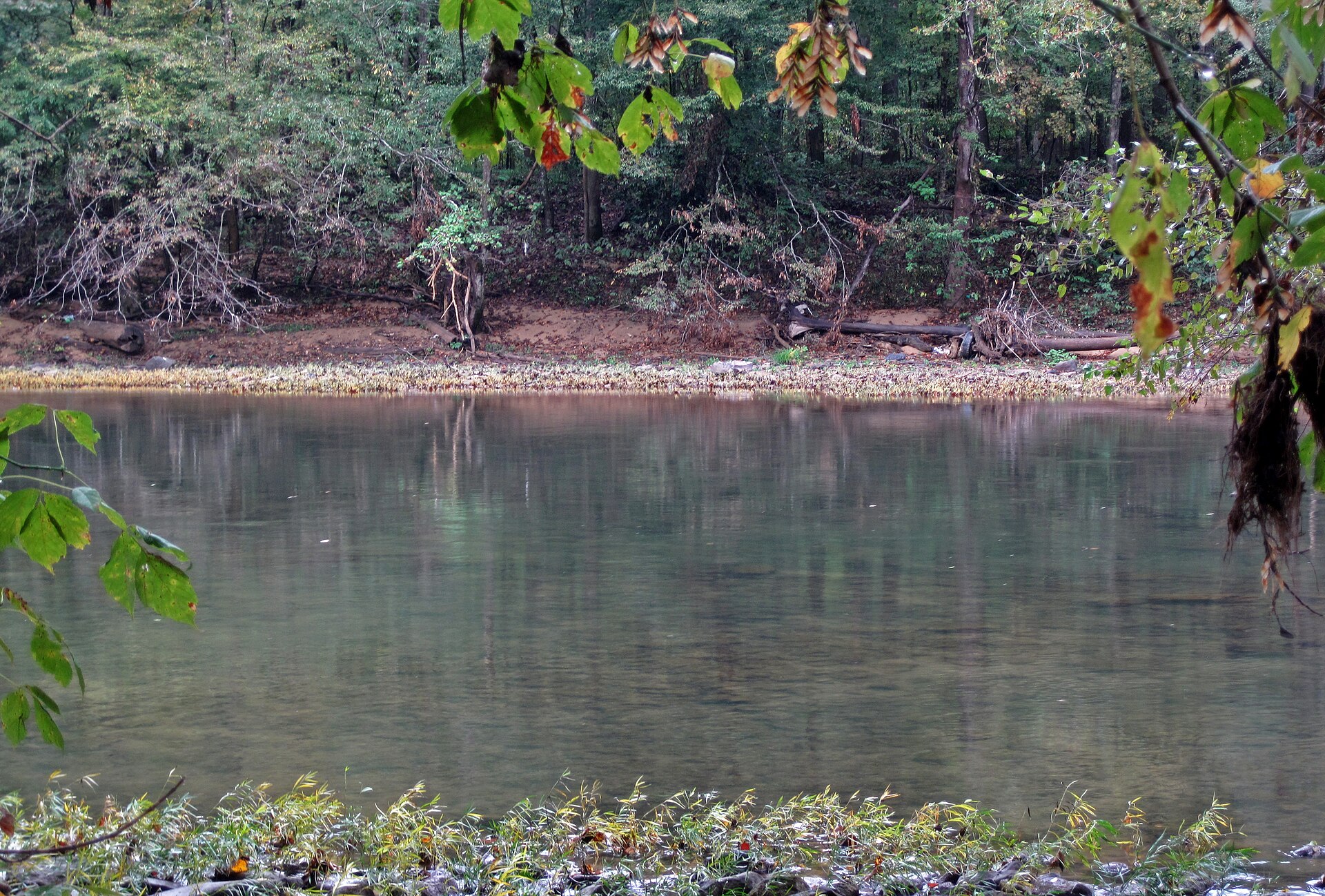Fly fishing in West Virginia
